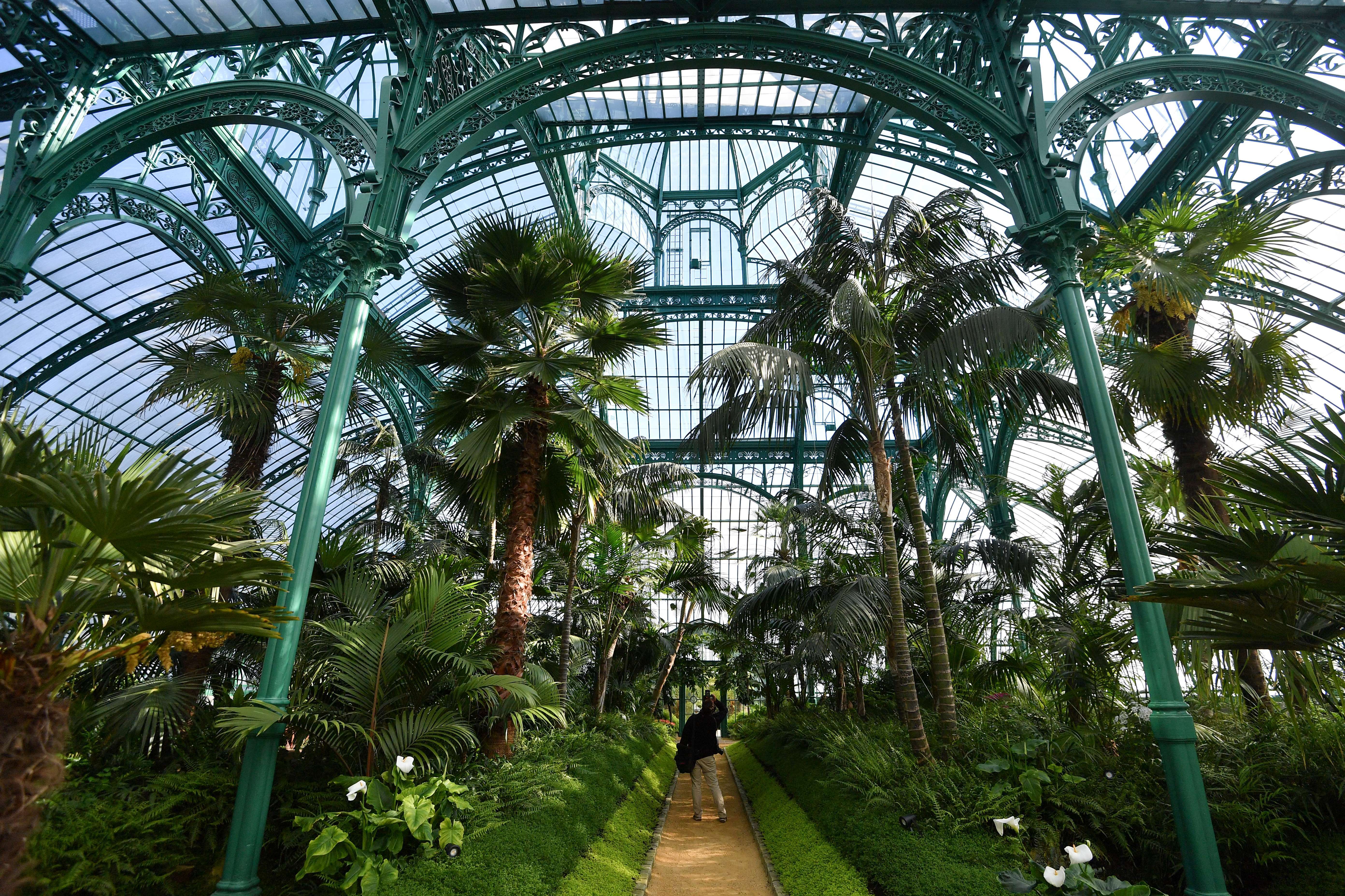 The Royal Greenhouses of Laeken, an Art Nouveau building made of metal and glass, built in the 19th century © BELGA PHOTO ​ (EMMANUEL DUNAND / AFP)