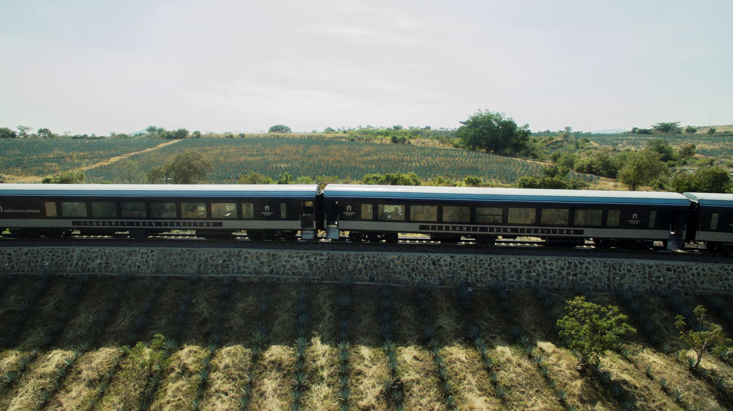 Herradura Express_5