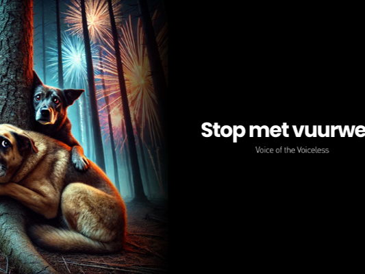 85 organisaties vragen verbod op verkoop van vuurwerk