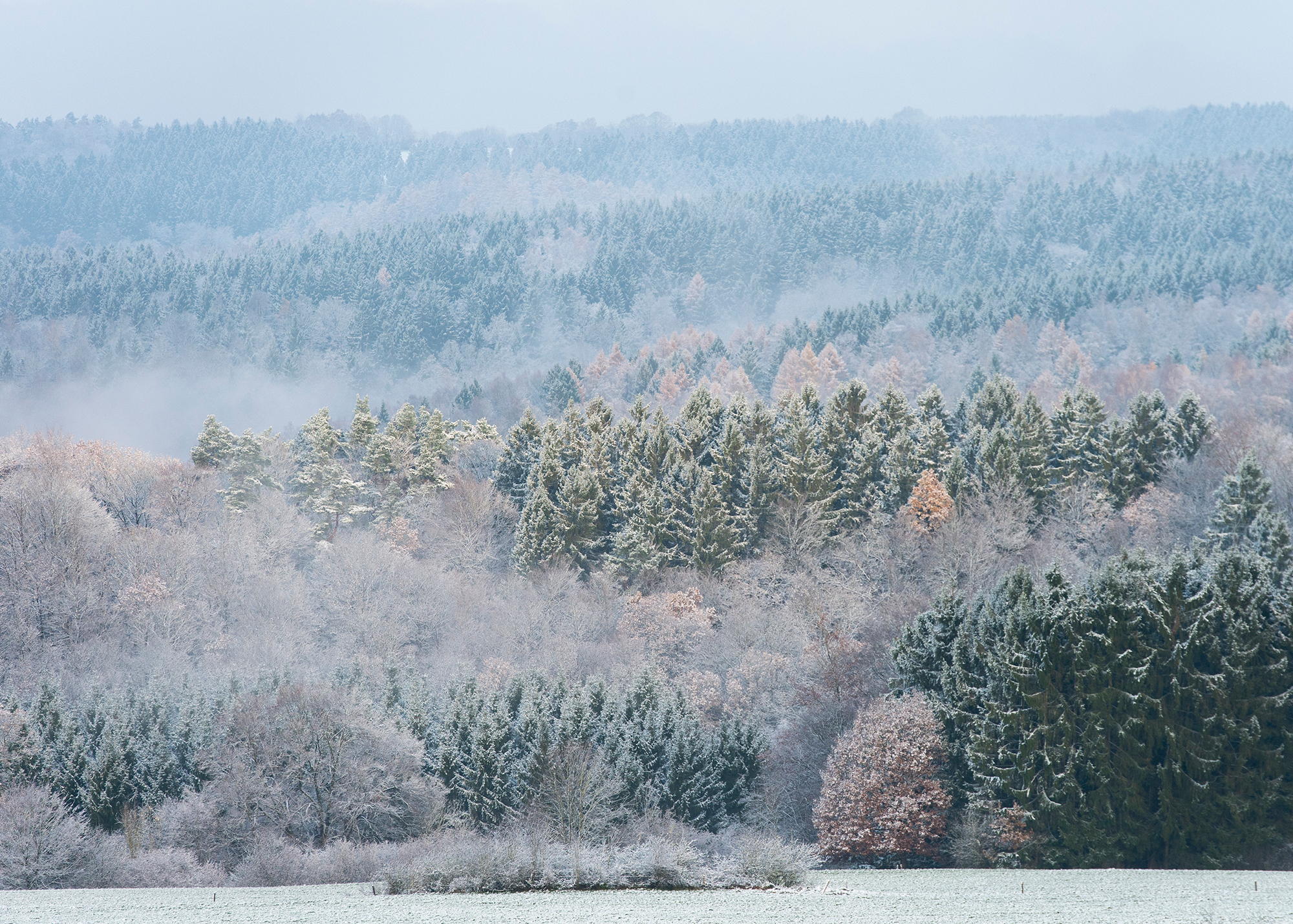 ©Ardennes-étape