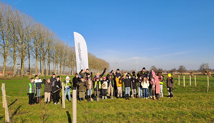 Plantactie Provincie zorgt voor 1,14 hectare extra bos aan Het Leen