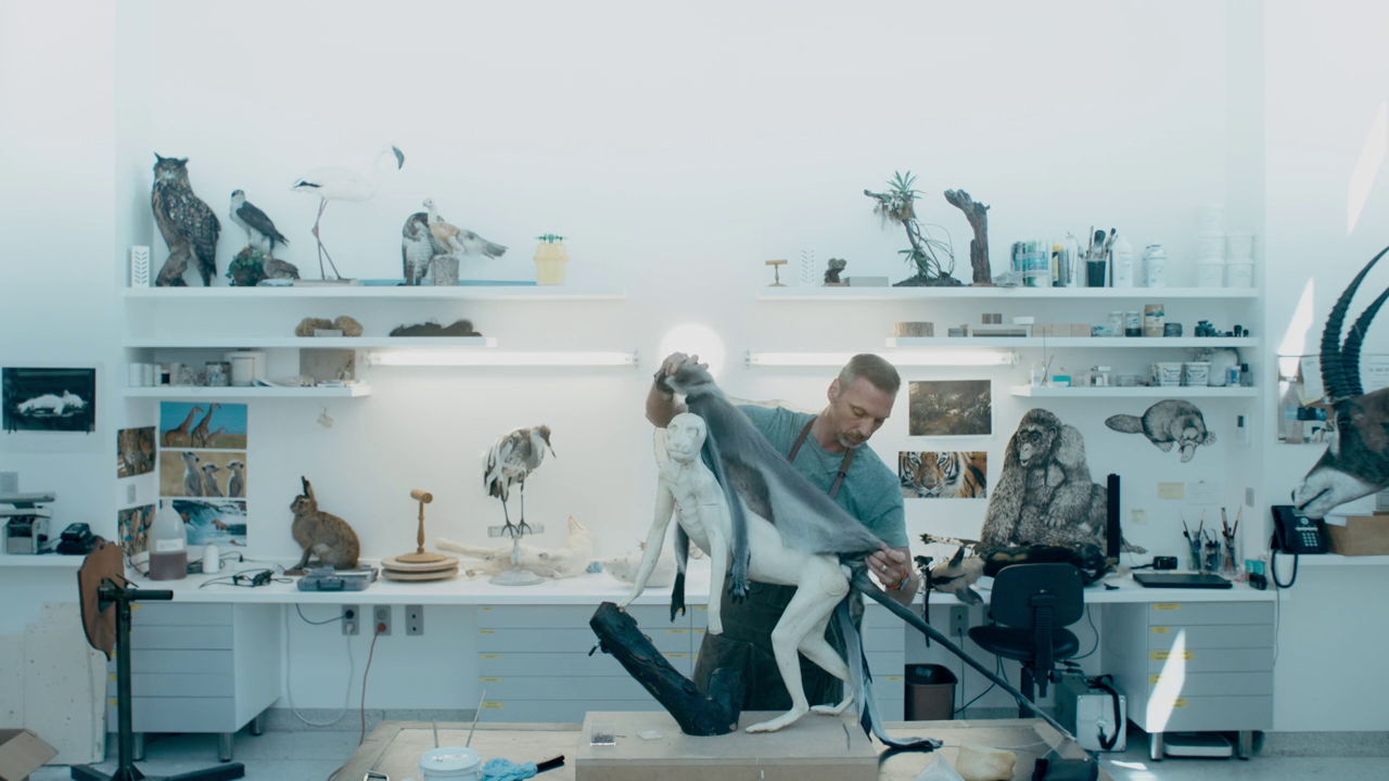 Een andere kijk - Taxidermist Christophe De Mey met aap