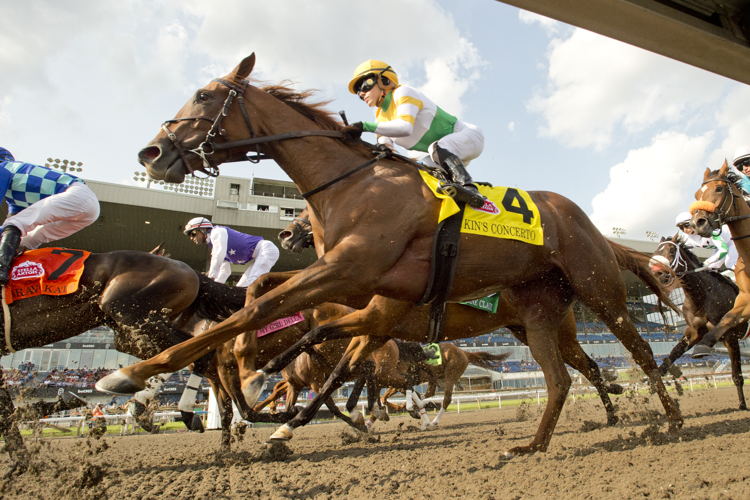 Kin's Concerto and jockey Sofia Vives during the Woodbine Oaks presented by Stella Artois on July 20, 2024 at Woodbine (Michael Burns Photo) Kin's Concerto and jockey Sofia Vives during the Woodbine Oaks presented by Stella Artois on July 20, 2024 at Woodbine (Michael Burns Photo)