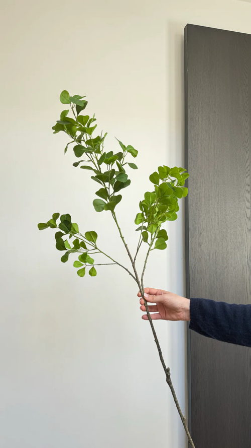 Anneke Crauwels Enkianthus Perulatus 16EUR