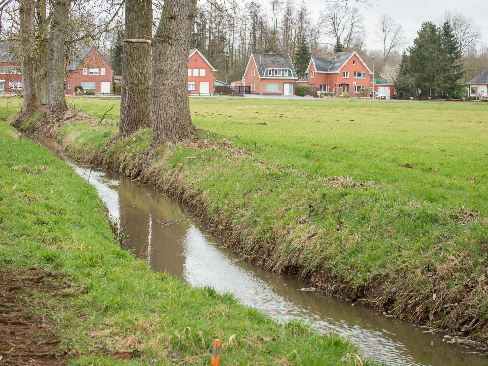 Provincie heft reglement voor hemelwater- en droogteplannen op na succesvolle realisatie