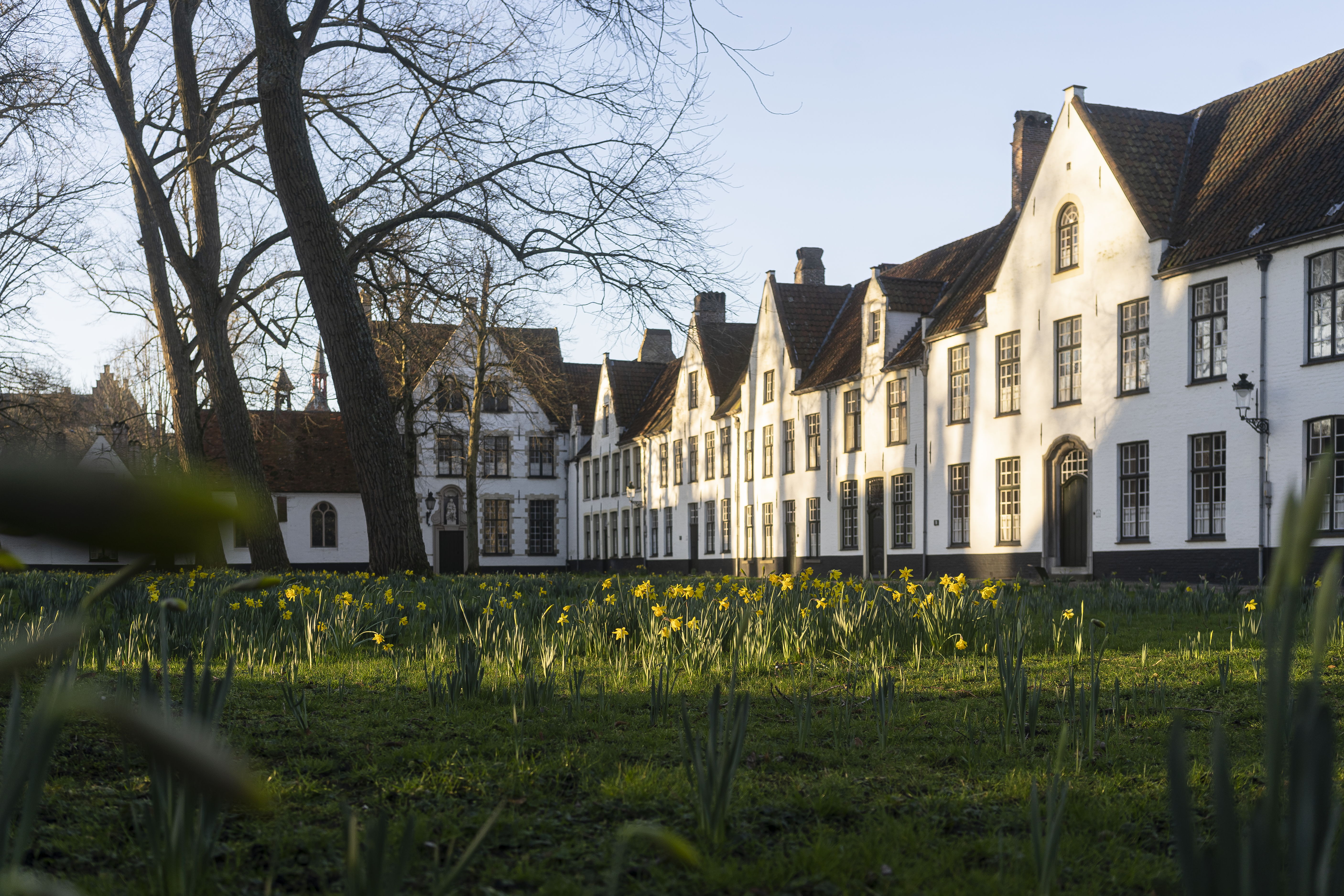 Begijnhof © PHOTO MATTHIAS DESMEDT