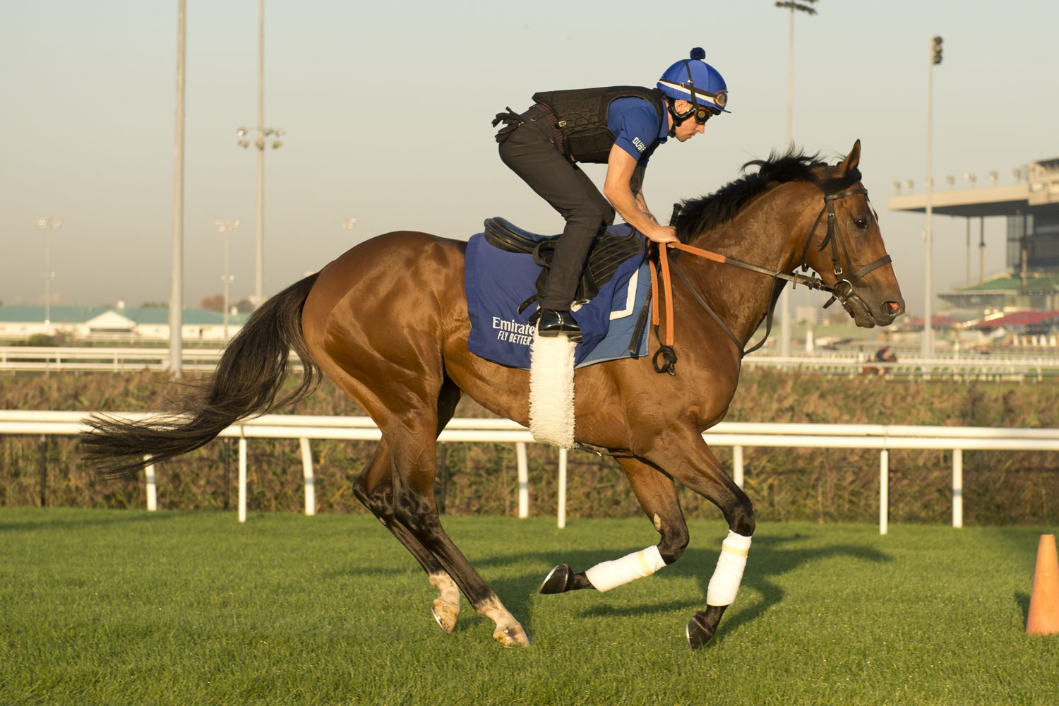Nations Pride prepares for the Canadian International at Woodbine (Michael Burns Photo)