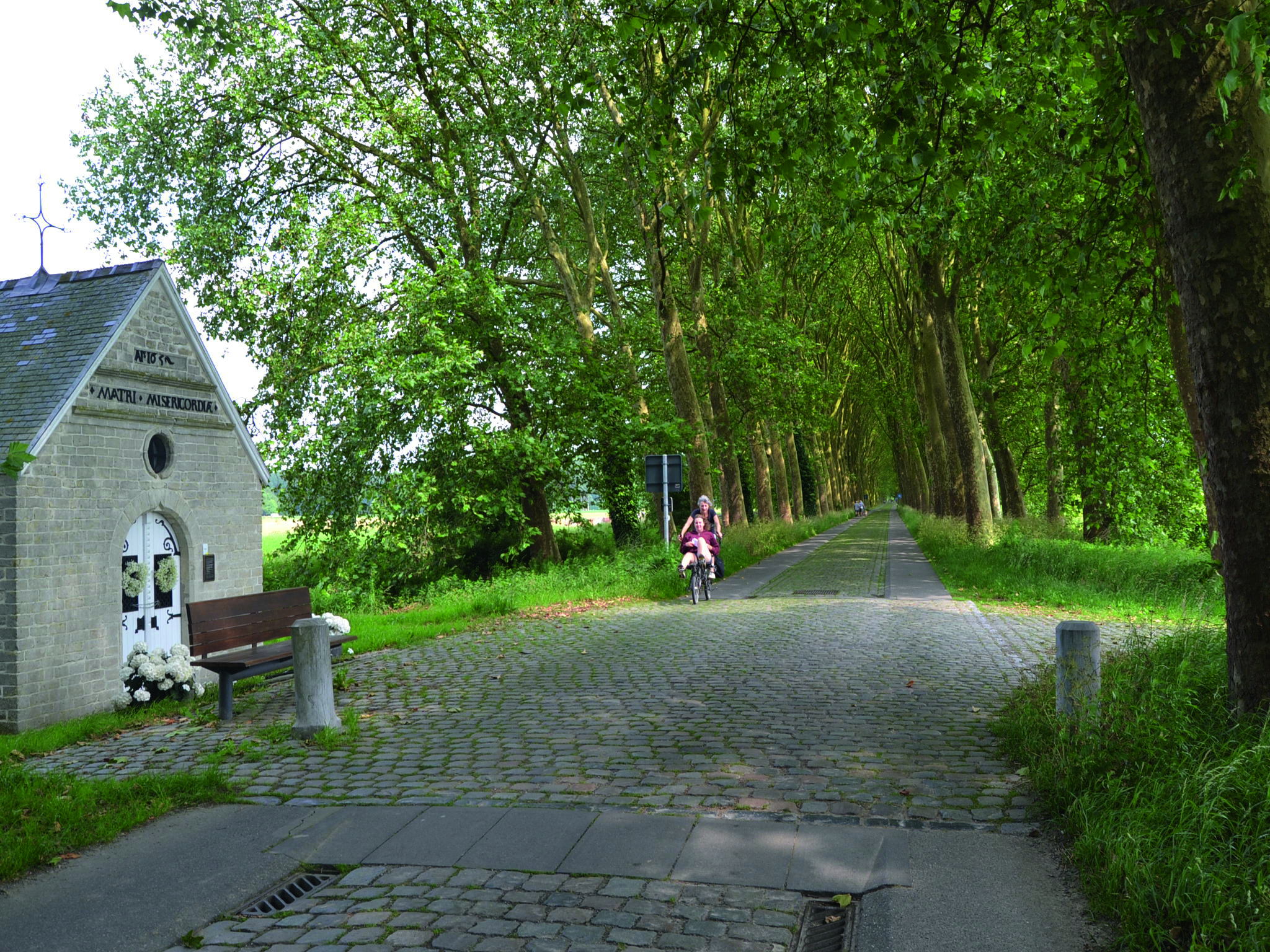 Kampenhout zet met natuurbeheerplan in op duurzaam bosbeheer