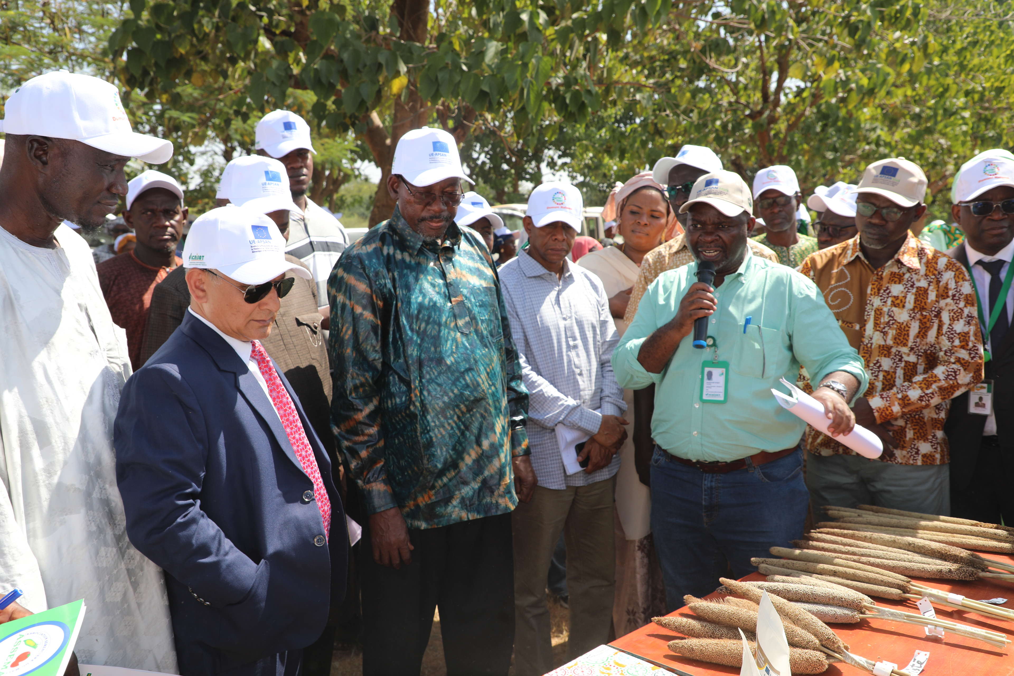 Celebrating International Year of Millets in Mali