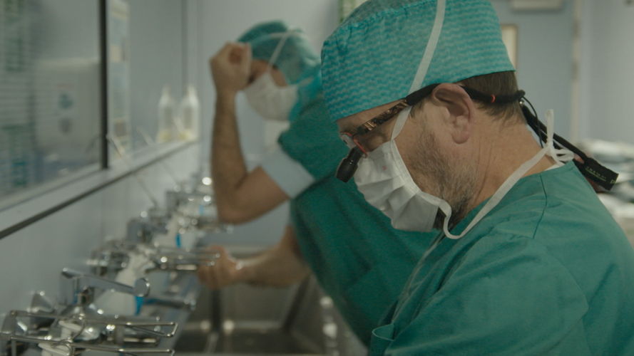 Prof. Koenraad Van Landuyt