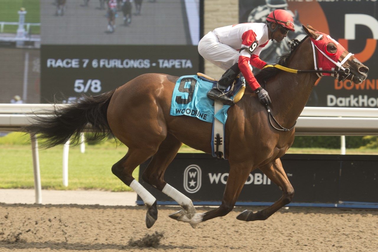 Artie's Princess and jockey Patrick Husbands winning the Ballade Stakes. (Michael Burns photo)
