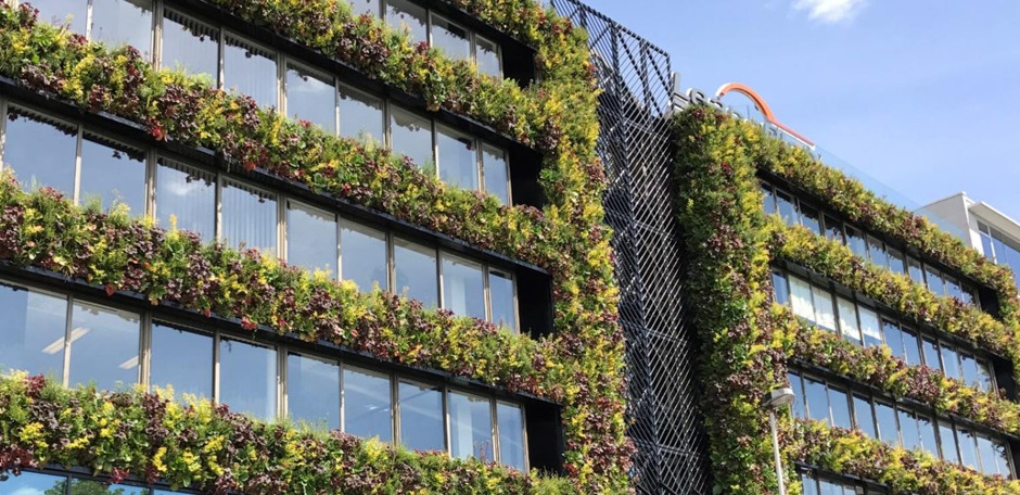11 projets de végétalisation de façades de bâtiments publics se partagent 500.000 euros