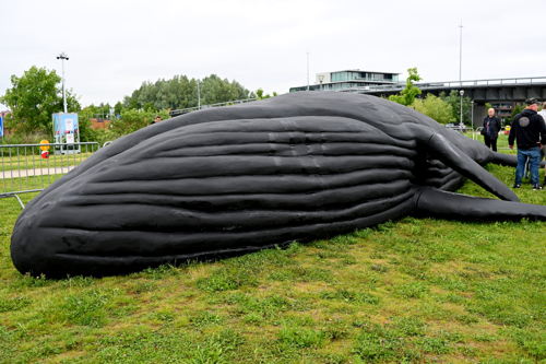 ©Tony Decruyenaere_Wij zijn de Walvis - Kortrijk 2025