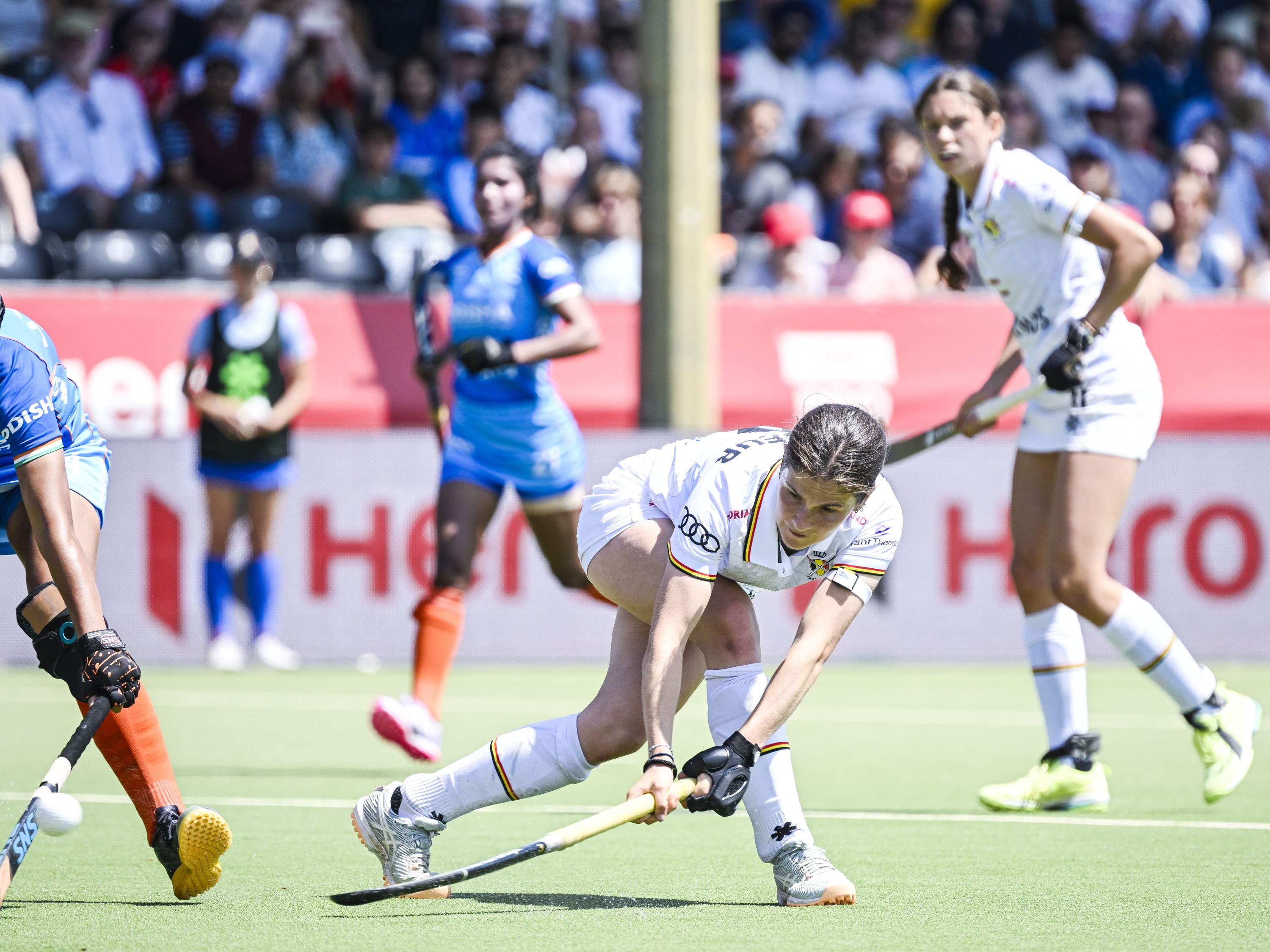 Belgium’s Red Lions and Red Panthers eye glory at EuroHockey Championships