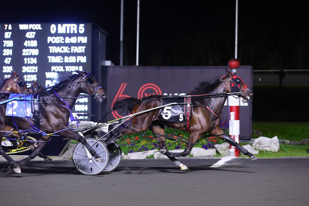 Its a Love Thing and Driver James MacDonald winning the She's a Great Lady Final on September 23, 2023 at Woodbine Mohawk Park (New Image Media)