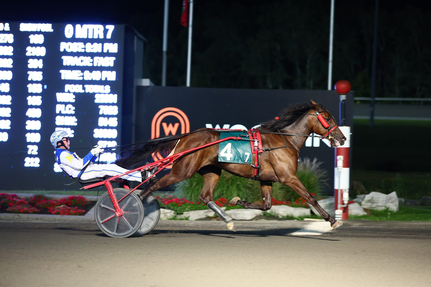 Oh Look Magic winning a division of the Champlain Stakes. (New Image Media)