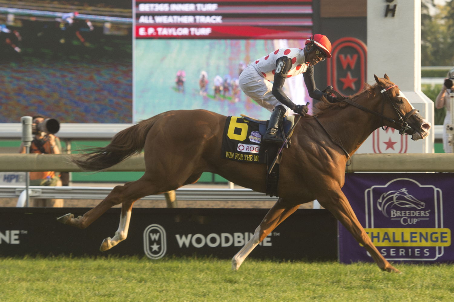 Win for the Money and jockey Patrick Husbands winning the Rogers Woodbine Mile (G1) on September 14, 2024 at Woodbine (Michael Burns Photo) 