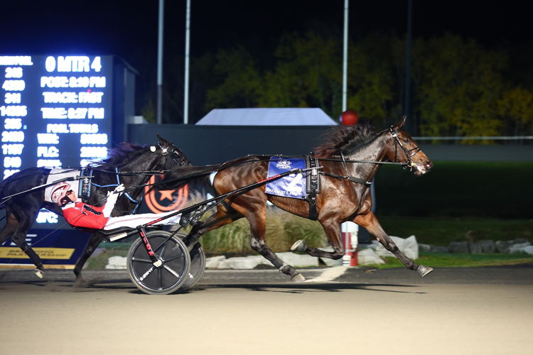 Jiggy Jog S winning the Breeders Crown last October. (New Image Media)