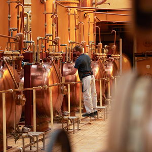 People - Cointreau distillation