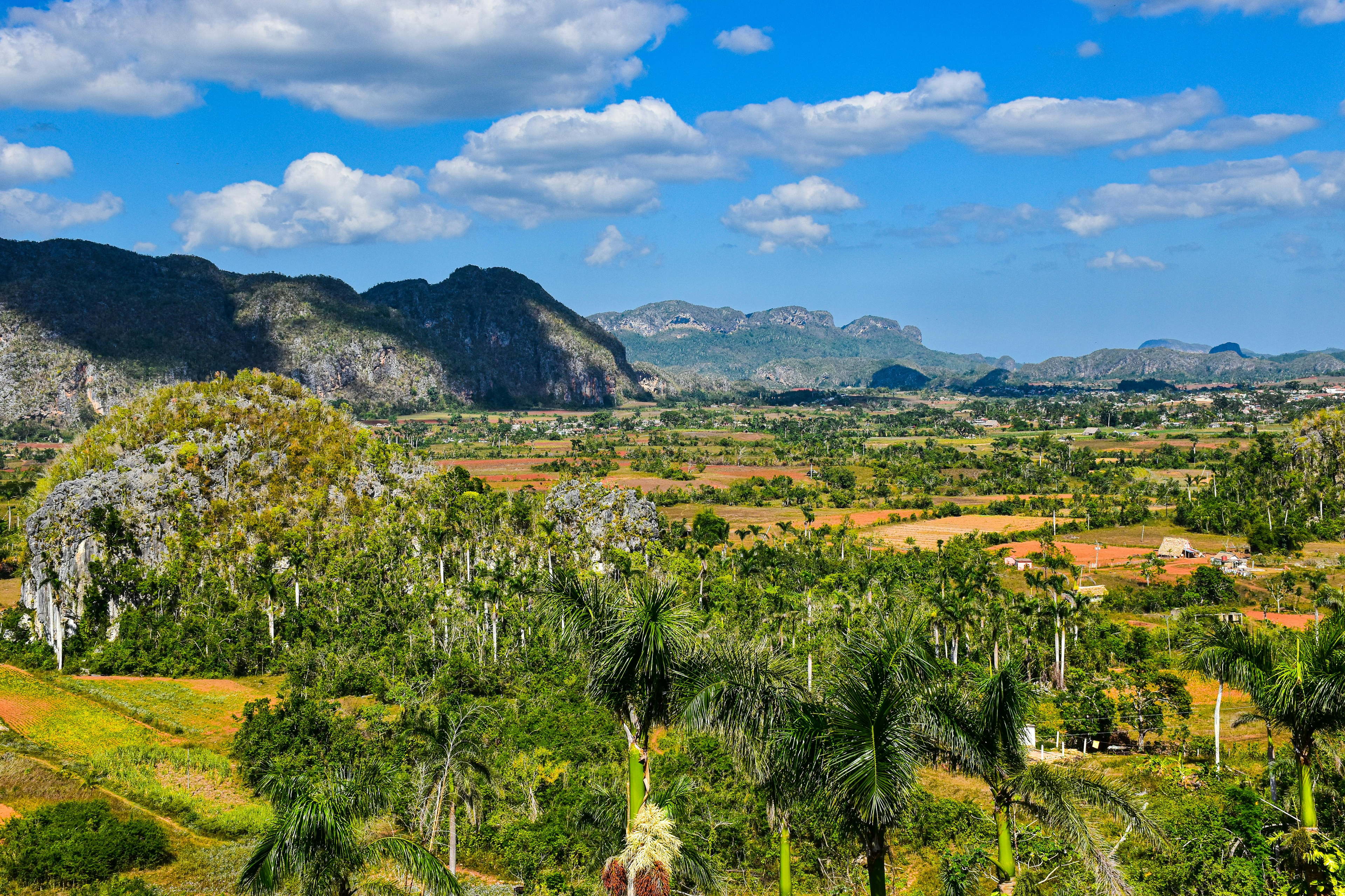 ICRISAT Brings Frontier Agricultural Science to the Caribbean in Landmark Partnership