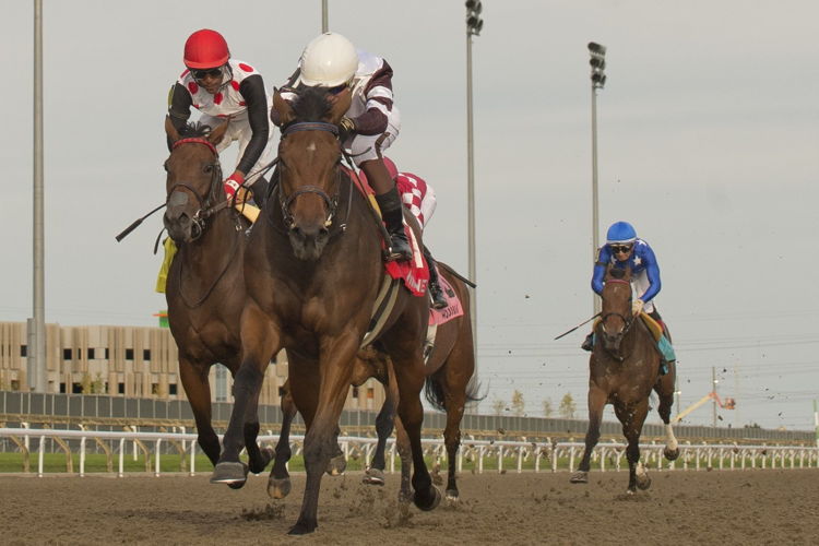  Loyalty and jockey Luis Contreras winning the Duchess Stakes on Saturday at Woodbine. (Michael Burns Photo)