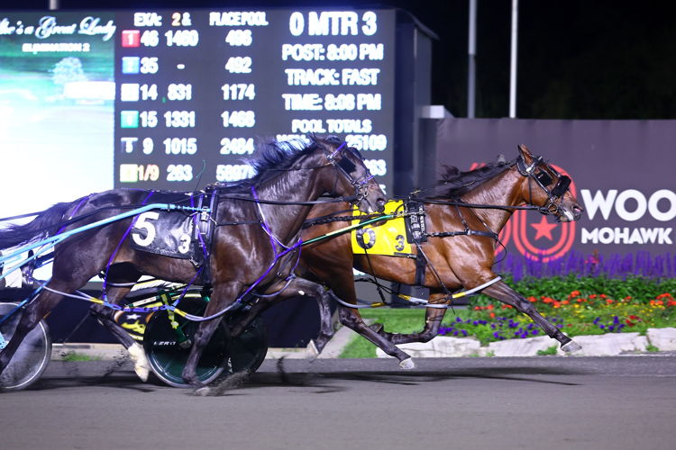 Caviart Belle winning her elimination of the Shes A Great Lady. (New Image Media)