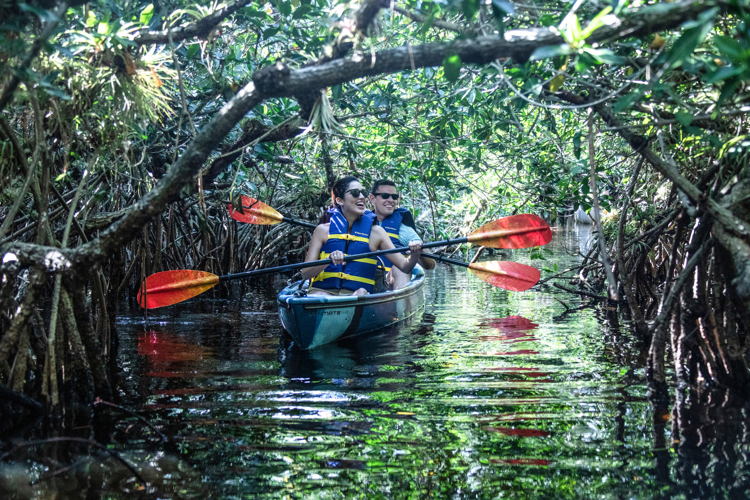 Everglades, FL