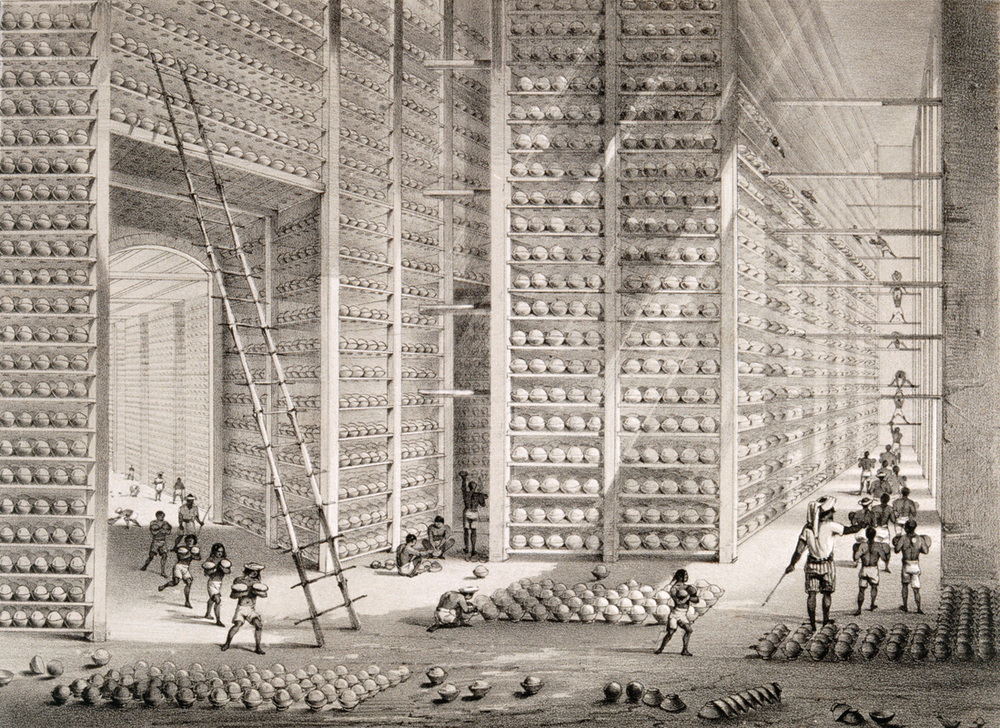 A busy stacking room in the opium factory at Patna, India. Lithograph after W. S. Sherwill, c. 1850. AKG9036241 ©akg-images / Science Source A busy stacking room in the opium factory at Patna, India. Lithograph after W. S. Sherwill, c. 1850. AKG9036241 ©akg-images / Science Source