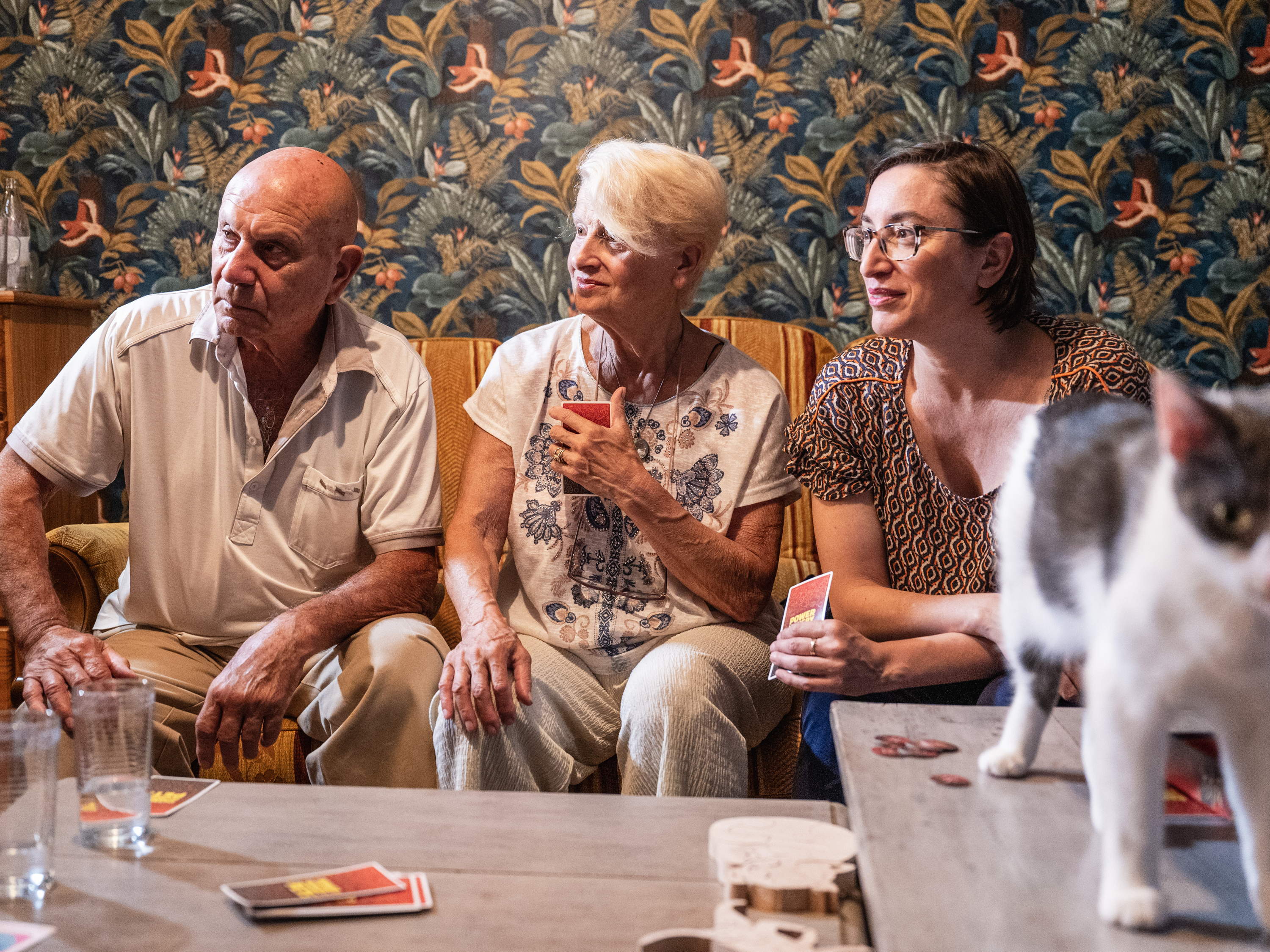 Communiqué de presse - Le 8 août, pour la Journée mondiale des Chats, 26 amoureux des chats jouent à des ‘jeux sur le thème des chats’ dans le bar à chats ‘Les ChaChoux’ à Sombreffe