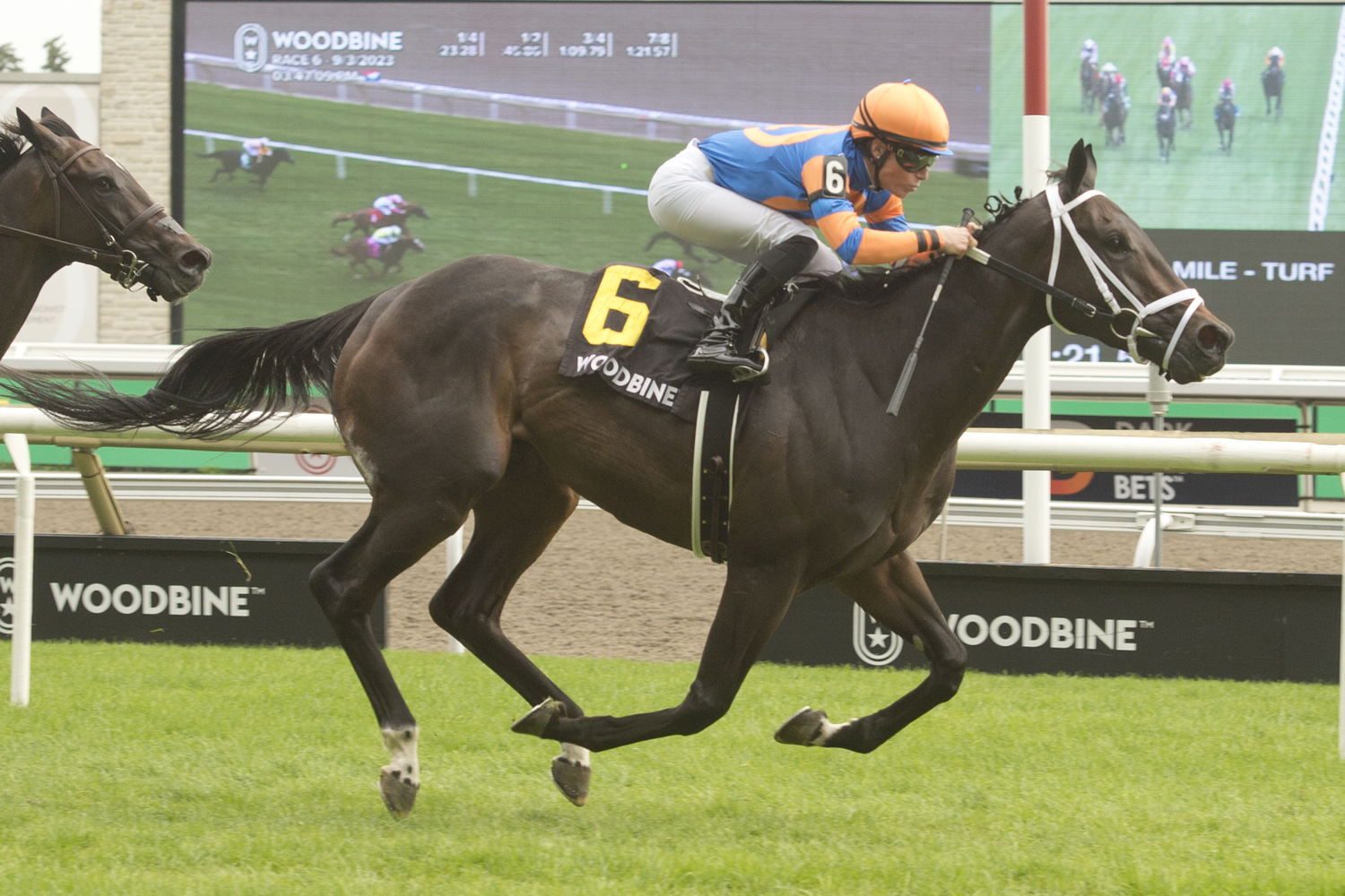Love to Shop and jockey Emma-Jayne Wilson winning the Toronto Cup presented by Crown Royal on September 3, 2023 at Woodbine (Michael Burns Photo) 