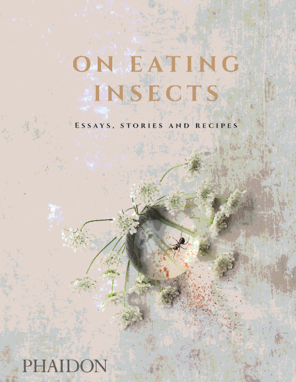 Mangiare insetti: il futuro del cibo