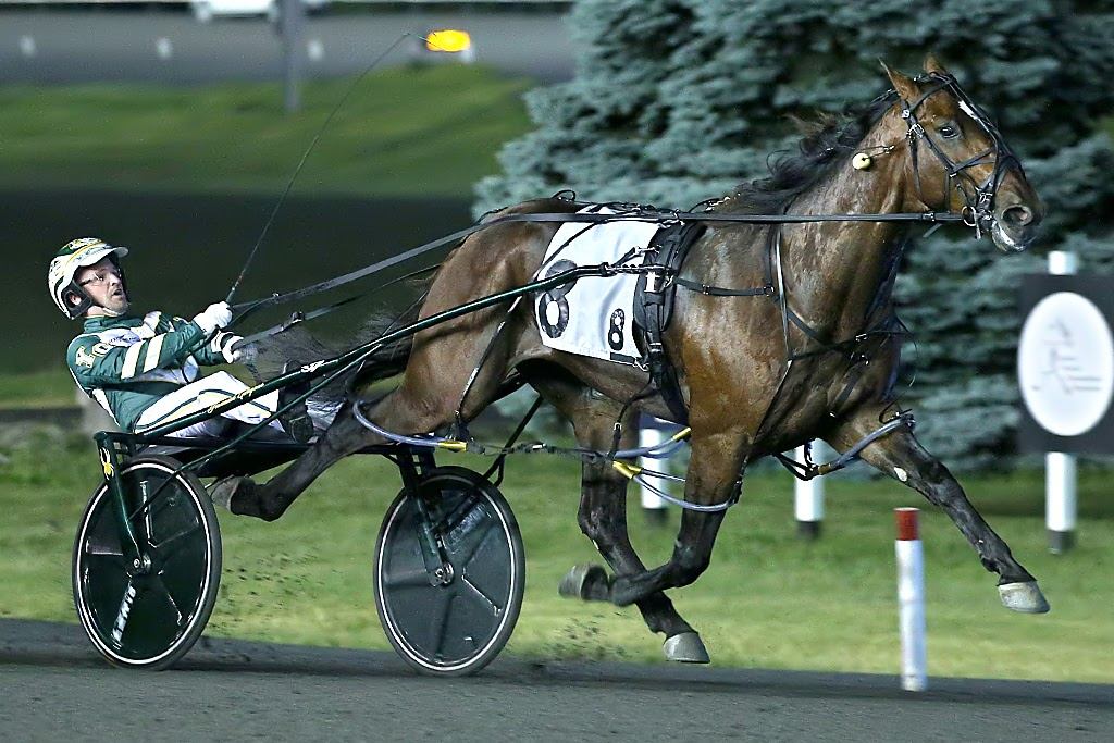 Beach Glass was as advertised overcoming and outside post to earn top honours in the second elimination of the North America Cup at Woodbine Mohawk Park. (New Image Media)