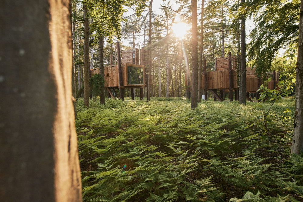 Forest Resort Your Nature treeloft  
