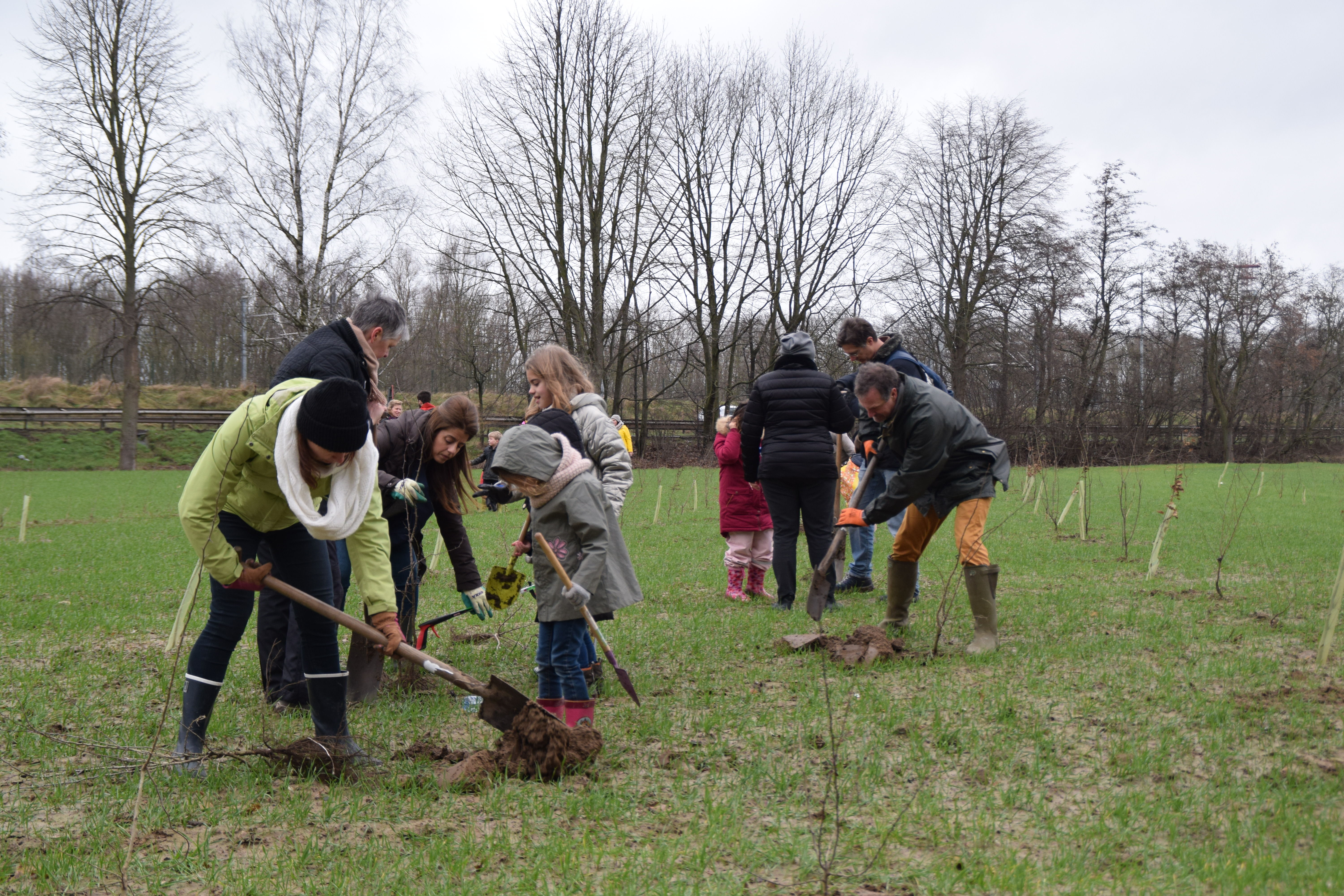 Les employés de Novartis étendent la forêt de Floordambos-Peutiebos avec 775 arbres