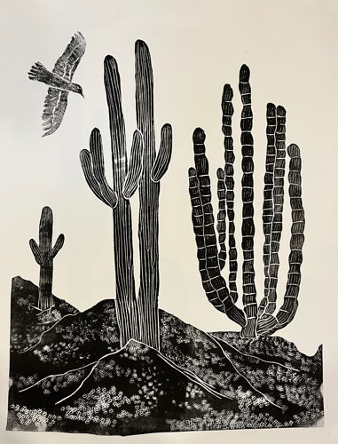 Jim Weaver The Saguaros and the Organpipe