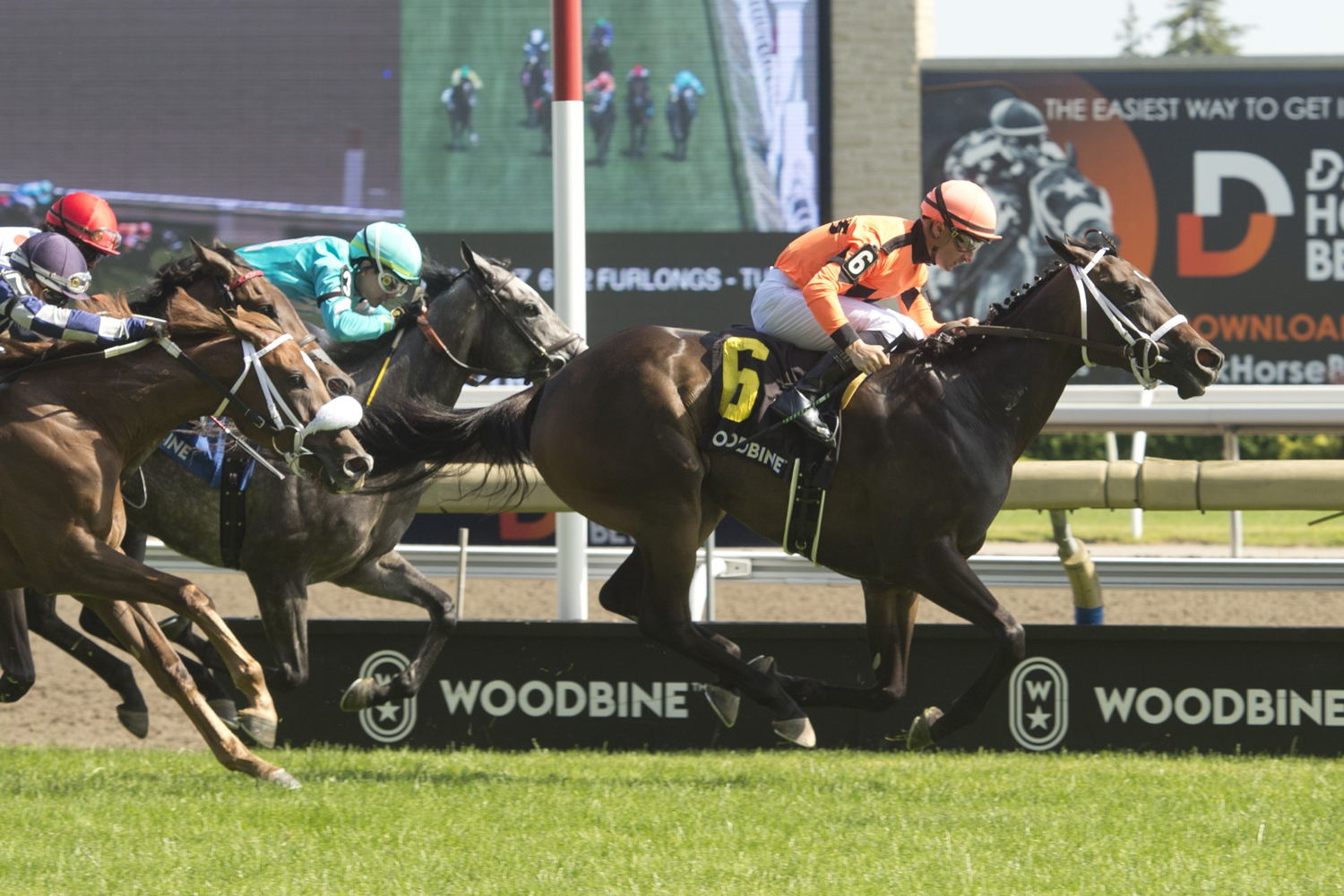 Mohawk Trail and jockey Adam Beshizza winning the Alywow Stakes on June 25, 2023 at Woodbine (Michael Burns Photo)
