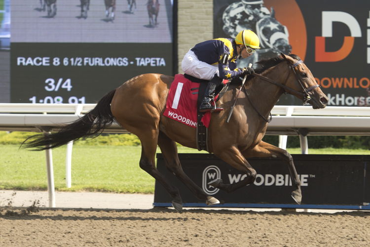 Loyalty and jockey Kazushi Kimura winning the Hendrie Stakes on July 22, 2023 at Woodbine (Michael Burns Photo)