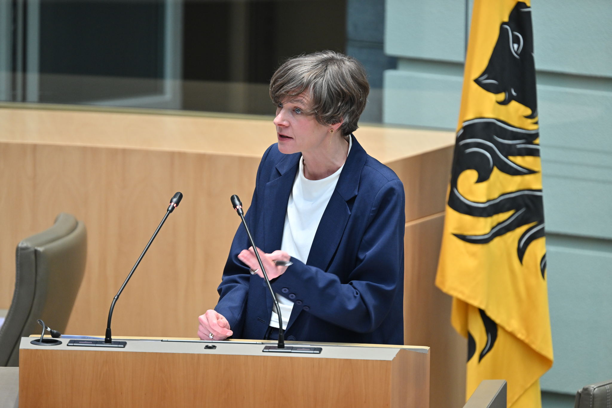 Flanders introduces minimum age of 13 for “harmful social media”