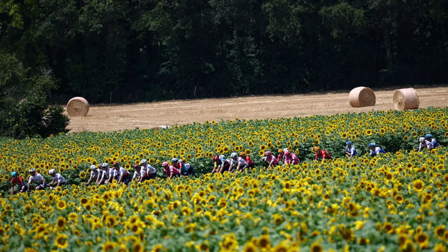 Tour de France 