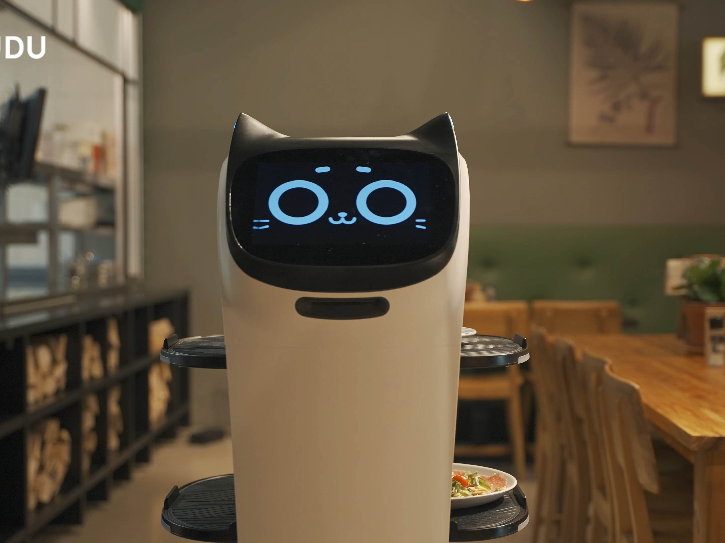 Robotter letter arbejdsbyrden i ferieparkkæde