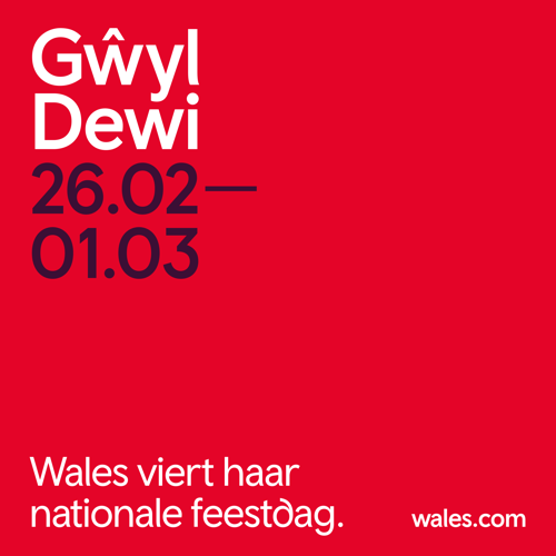 Square - Wales viert haar nationale verjaardag - Credit: Cymru Wales