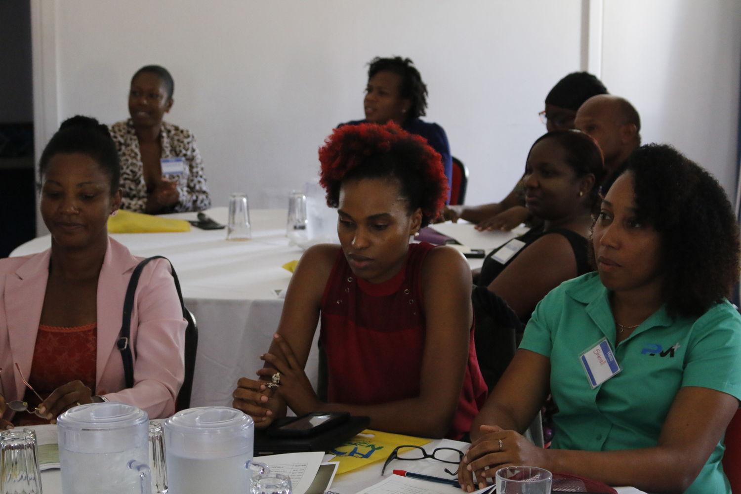 Participants attend Idea Generation Session.