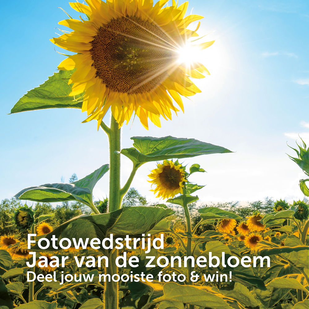 ©VisitBrabant