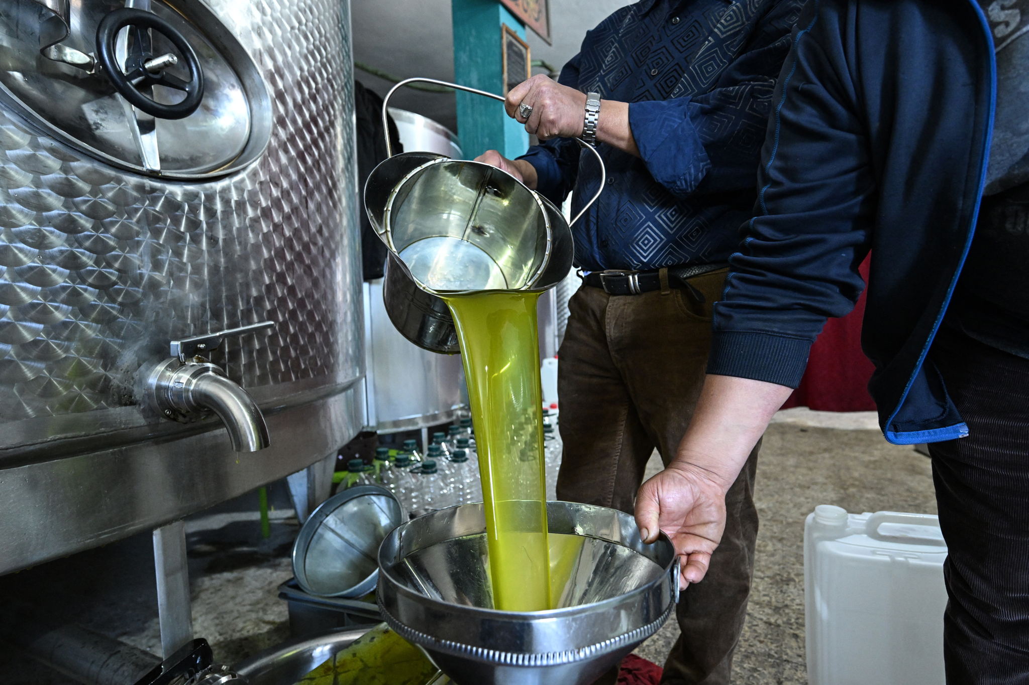 EU auditors criticise Belgium over lack of pesticide checks on imported olive oil