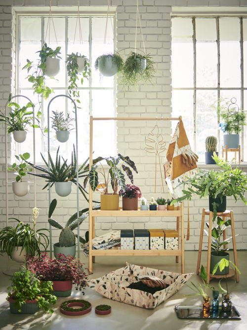 IKEA_DAKSJUS_PH196618
