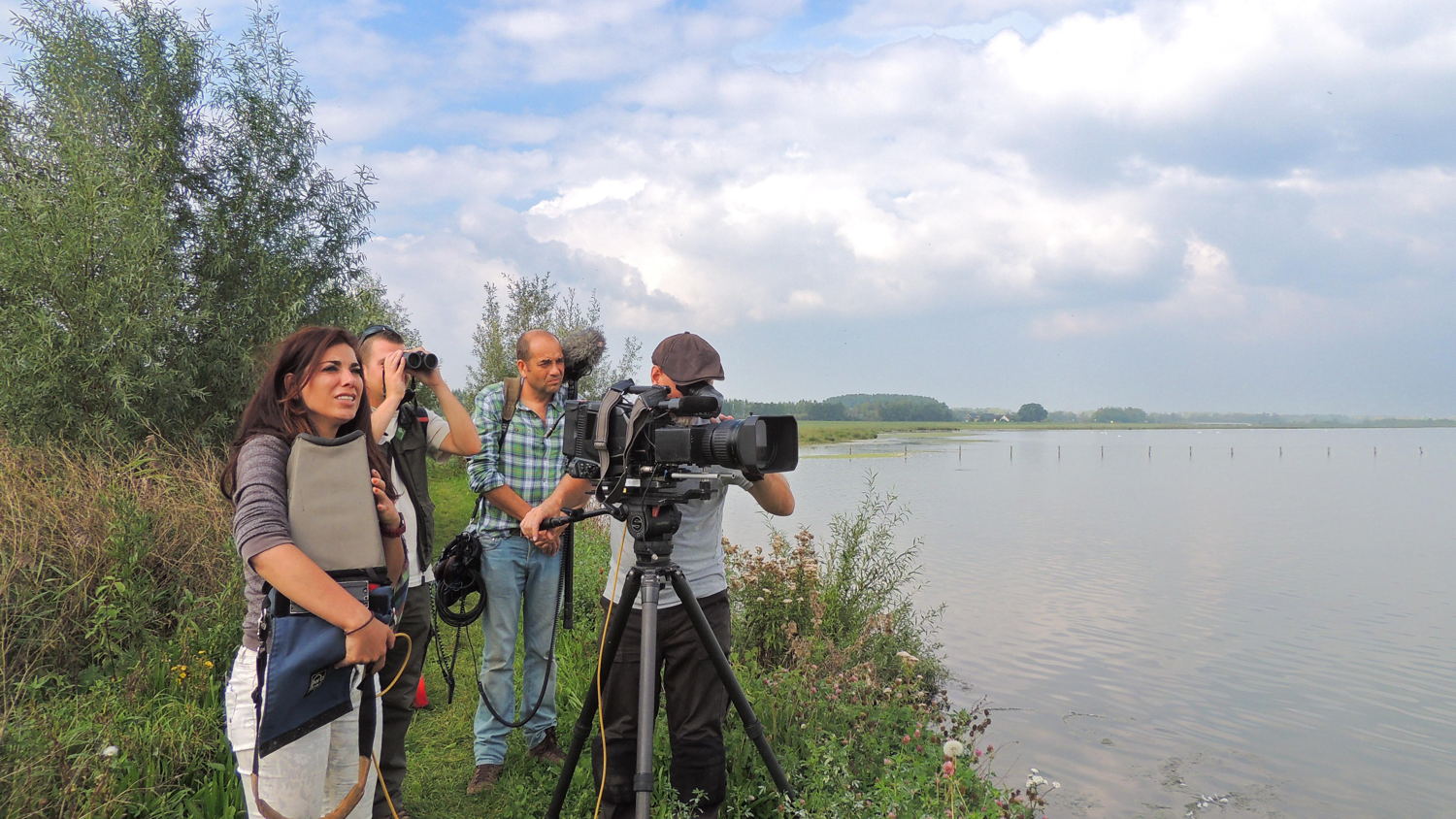 (c) VRT