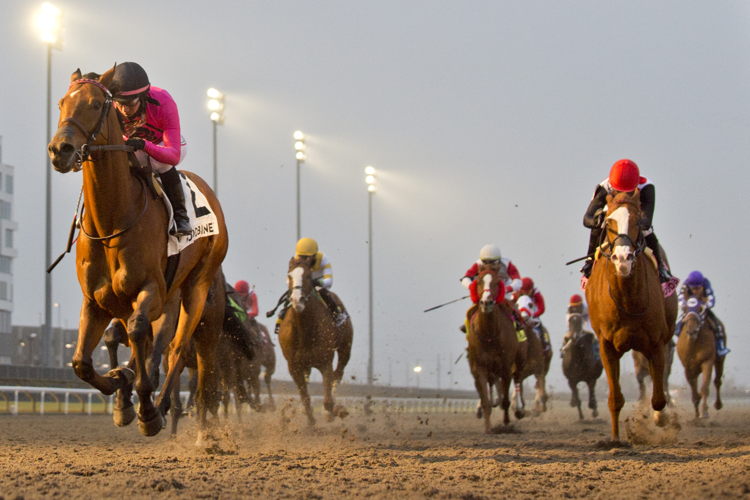 Conglomerate and jockey Luis Contreras winning the Valedictory Stakes on December 3, 2023 at Woodbine (Michael Burns Photo)