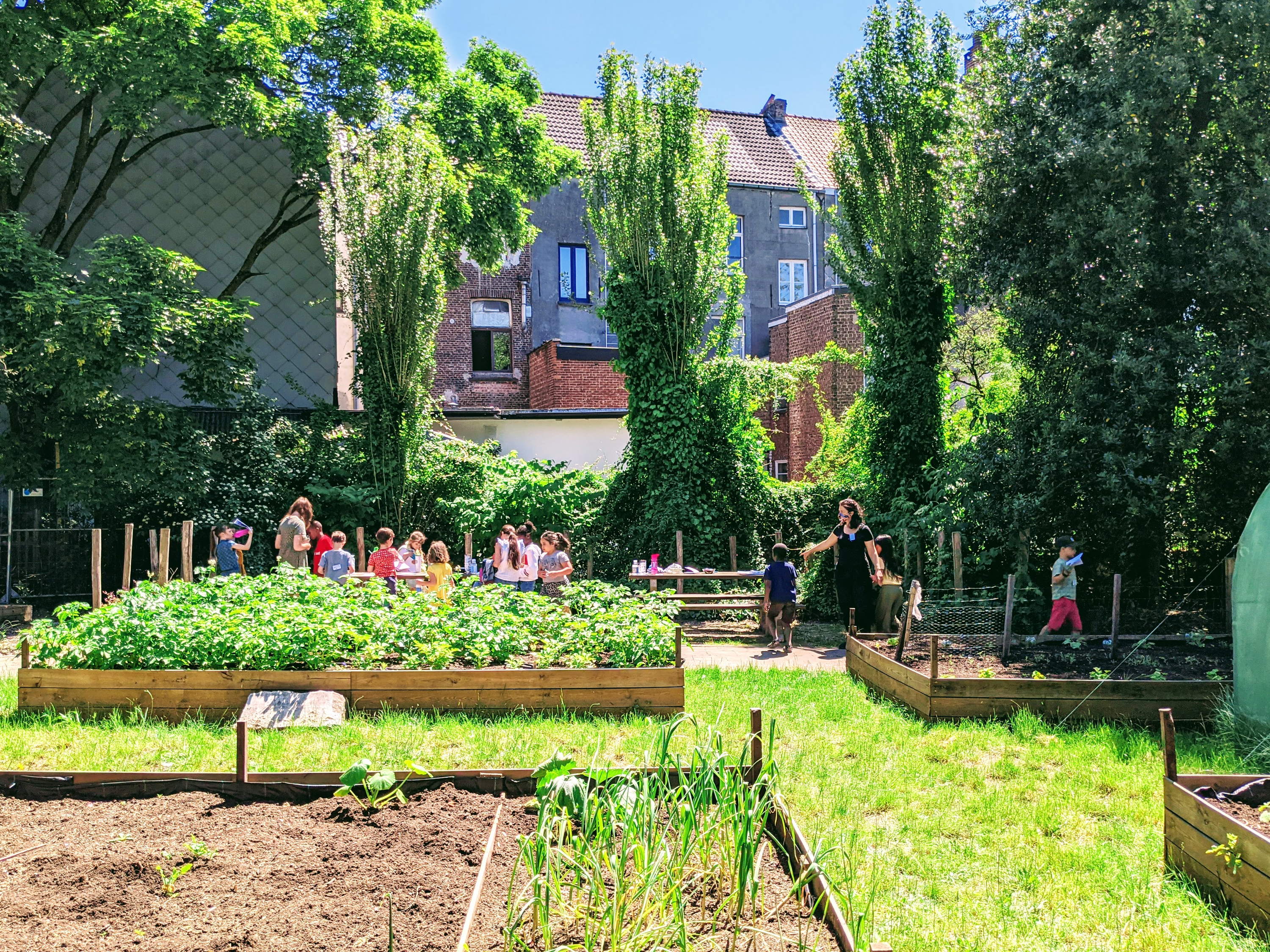 Groene vingers in de stad: woensdag 7 mei open dag in de Experimententuin van Odisee-hogeschool Gent