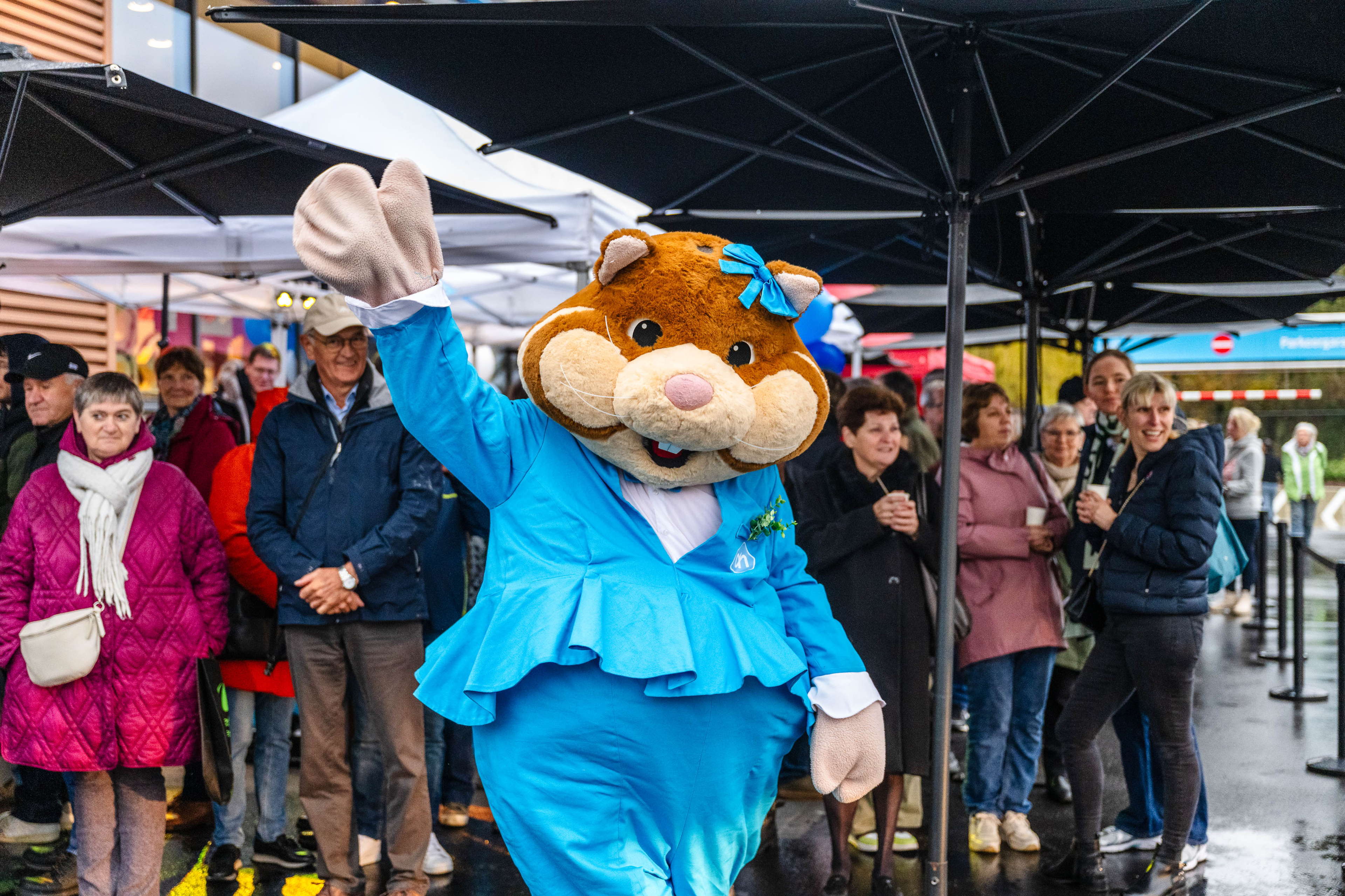 Ranst heeft zin in Albert Heijn