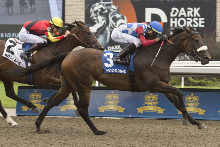 Hazelbrook and jockey Jason Hoyte winning the Sweet Briar Too Stakes on August 21, 2022 (Michael Burns Photo)
